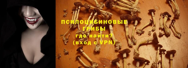 дживик Баксан