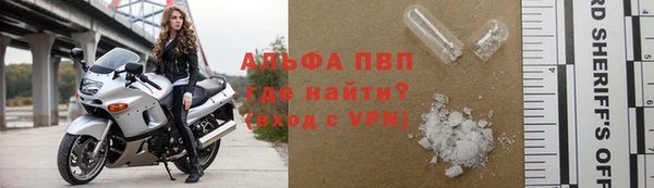 дживик Баксан