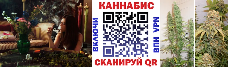 Конопля Ganja  Нолинск 